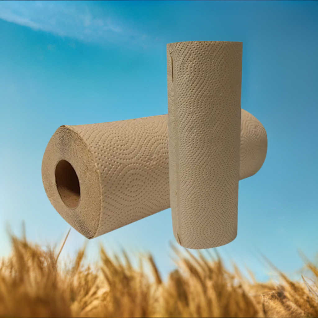 Regenerative Paper Towels 12 / case