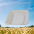 Biodegradable Fresh Food Tray 500/Case