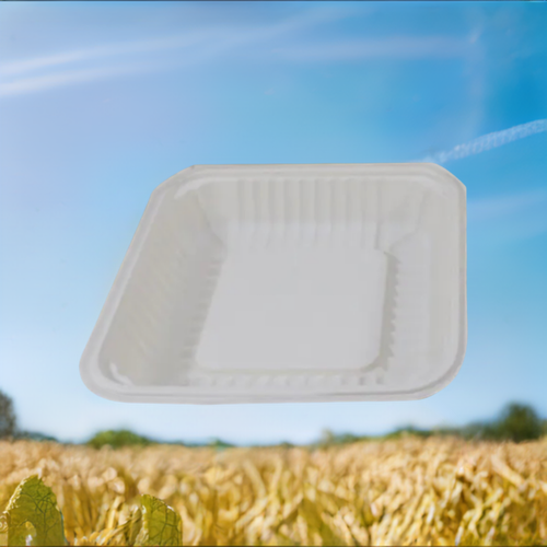 Biodegradable Fresh Food Tray 500/Case