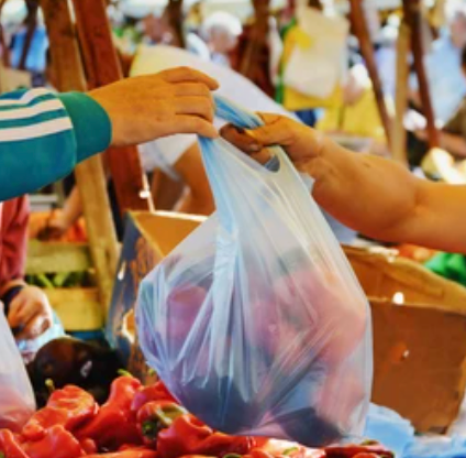 Compostable BioPlastic Grocery Bag 500 / Case